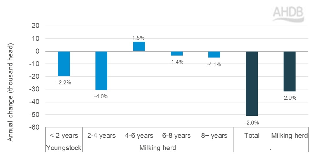 Annual change in GB dairy herd by age